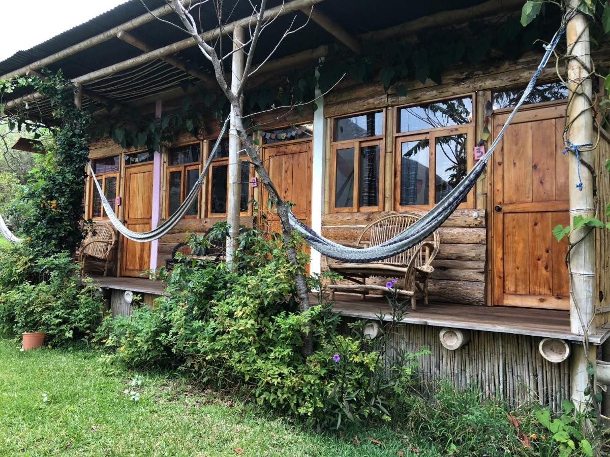 Doron Yoga & Zen Center Otel Tzununá Oda fotoğraf